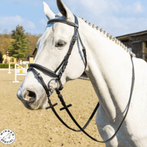 TESTIERA SPECIAL IMBOTTITA CON REDINI WINNER