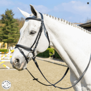 TESTIERA SPECIAL FRONTALINO CON FINITURA QUADRA WINNER