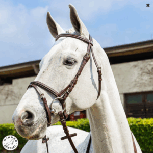 TESTIERA SPECIAL CON RICAMI WINNER