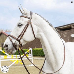 TESTIERA CON CLINCHER ORO ROSA WINNER