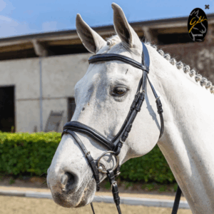 BRIGLIA IN CUOIO ITALIANO ANATOMICA GOLD